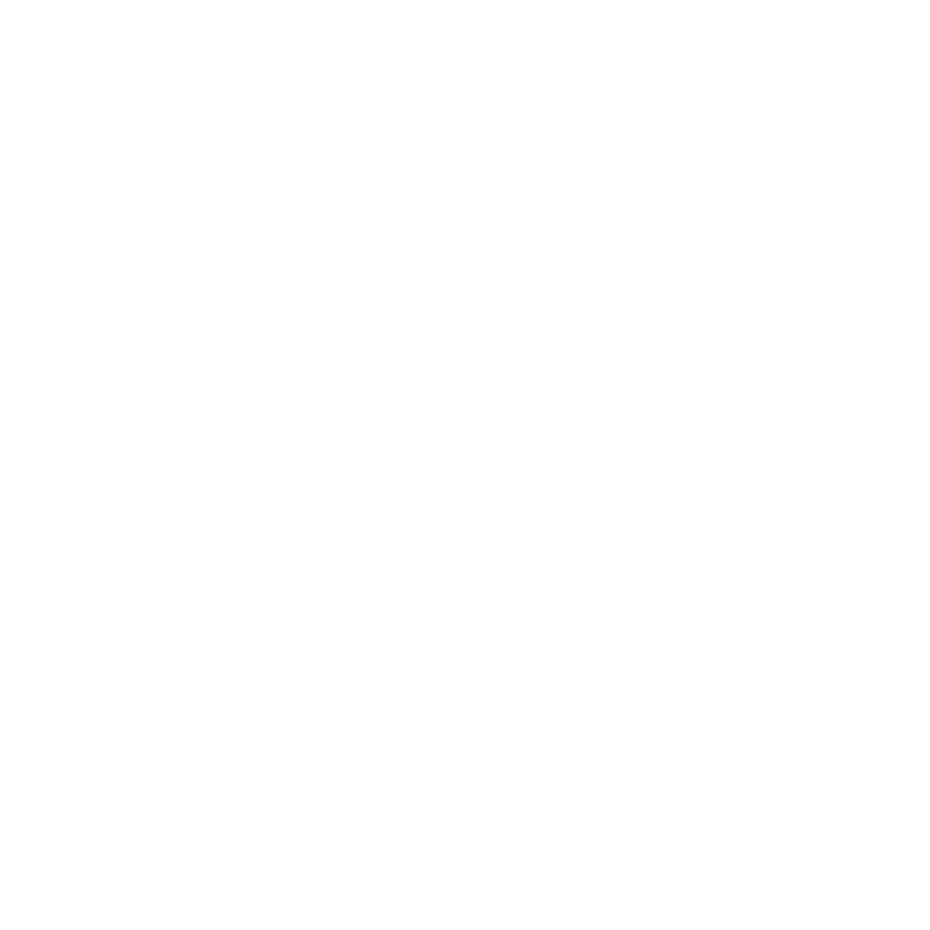 Skinpro Logo